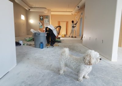 Remodeling Living Room
